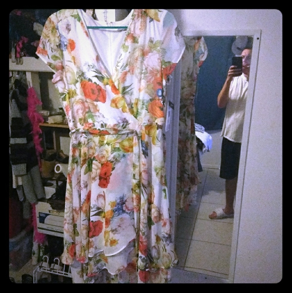 Sandra Darren floral sundress size 8, brand new